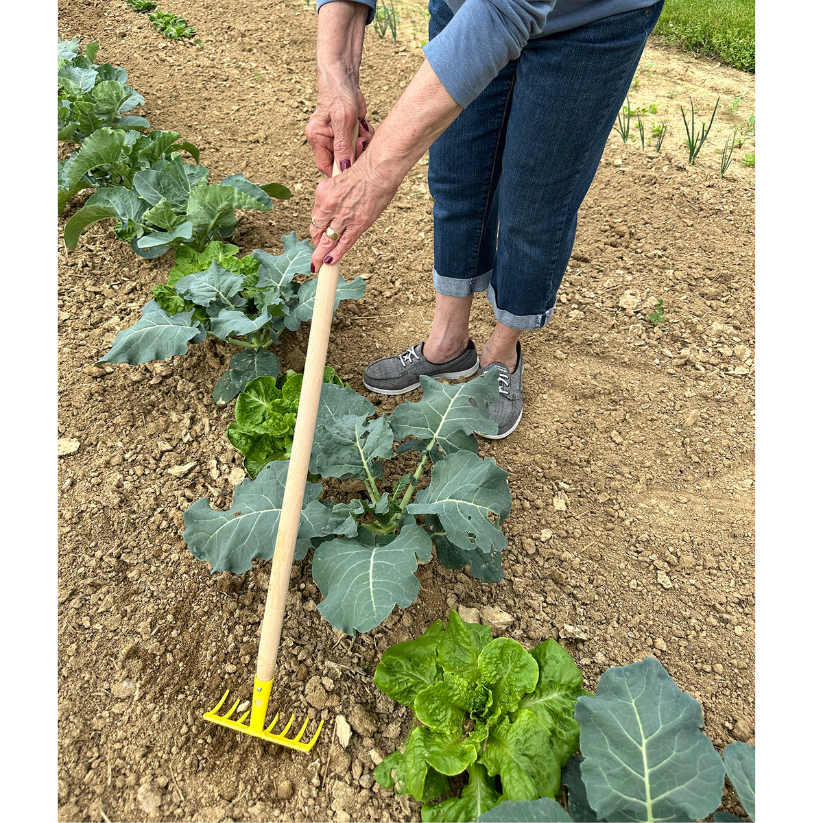 Kid's Soil Rake