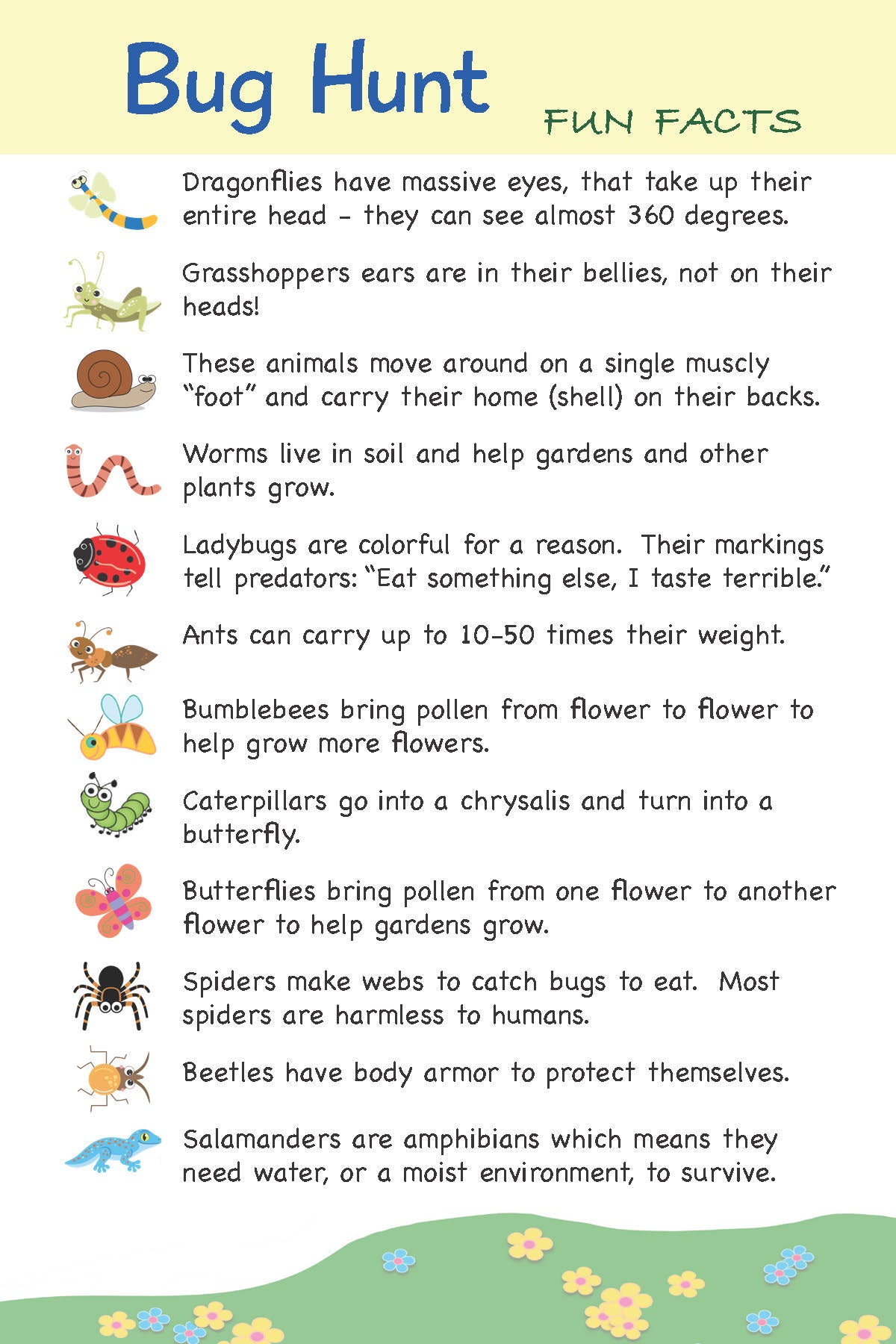 Little Pals Bug Watching Activity Kit