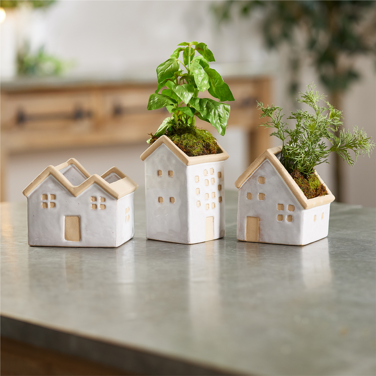 Neutral Porcelain House Planter (Set of 3)