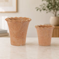 Container (Set of 2) 5"H, 6.75"H Terra Cotta