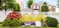Plants That Work for a Sitting Garden (PLANTS THAT WORK SITTING GARDEN) -