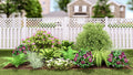 Plants That Work for a Shade Garden (PLANTS THAT WORK SHADE GARDEN) -