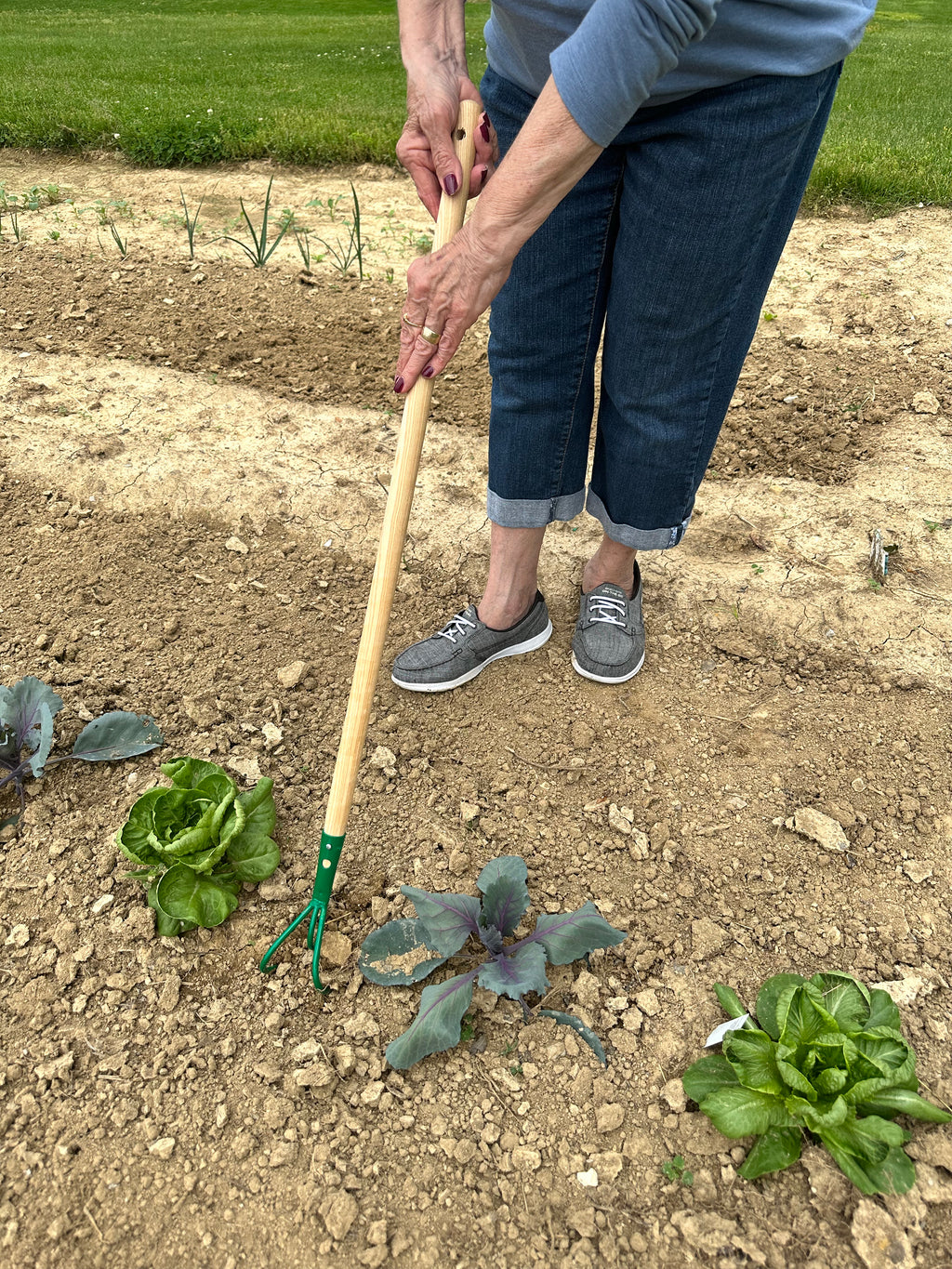 Kid's 3 Tine Cultivator
