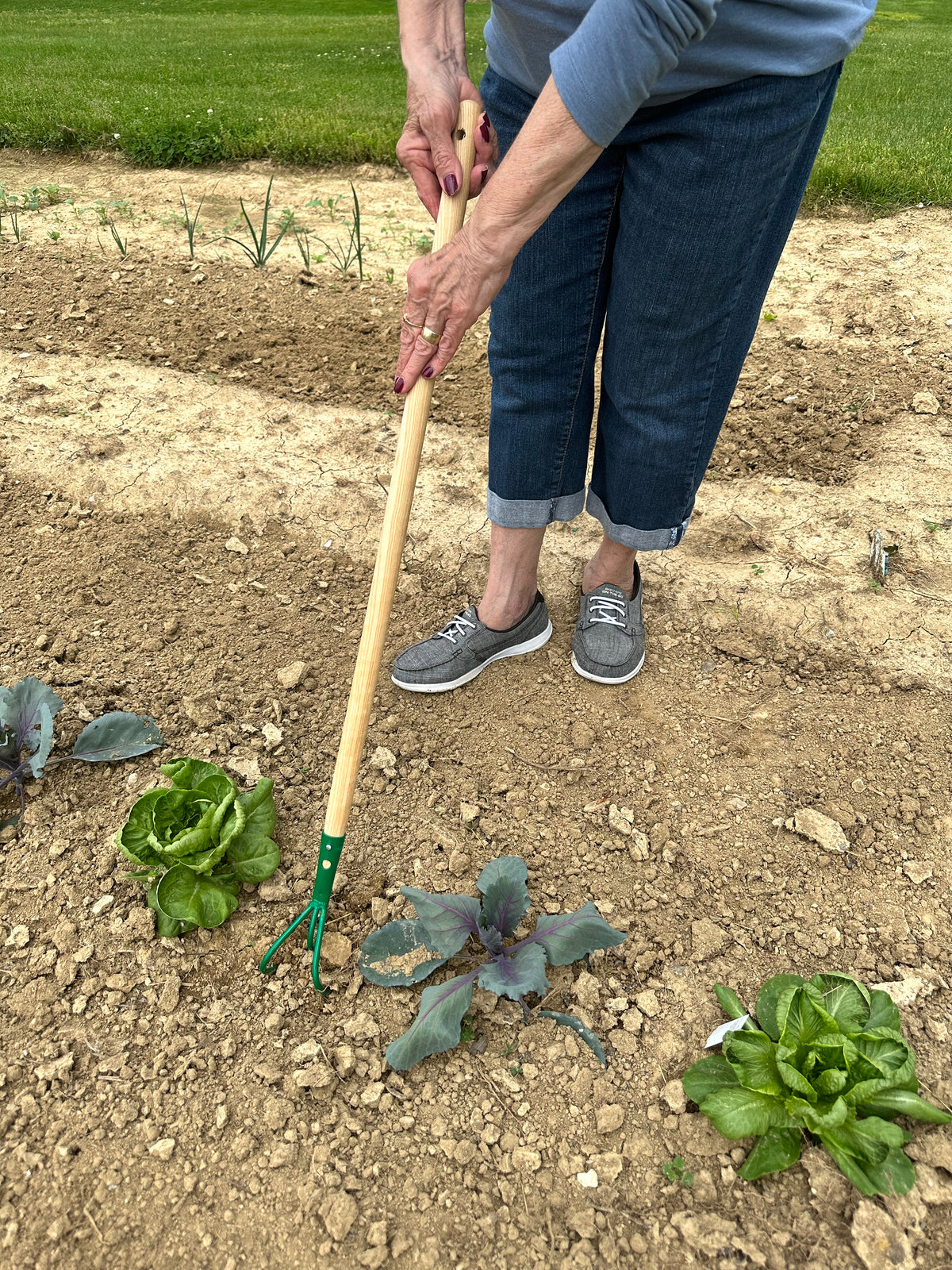 Kid's 3 Tine Cultivator